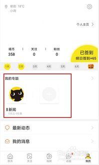 头条怎么开专题,打造引人入胜的专题内容