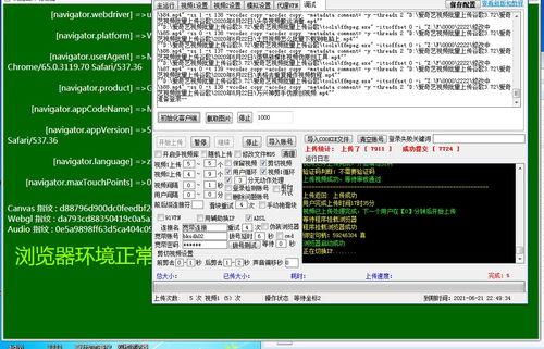查找头条作品的软件,软件助力内容创作新趋势