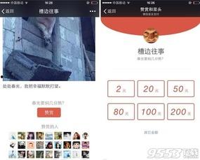 手机发头条带赞赏功能,轻松分享精彩内容，收获惊喜赏金！