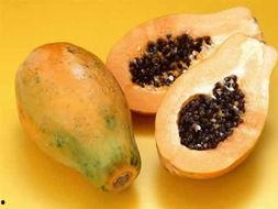 吃梨子可以吃瓜吗,吃梨子时，可以吃瓜吗？