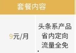 今日头条套餐介绍,解锁个性化内容订阅，畅享资讯盛宴