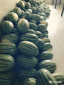 中核建设工资吃瓜,揭秘核工业巨头的薪酬待遇之谜