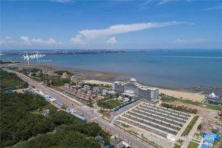 防城港网红景点东兴,防城港网红景点的魅力之旅