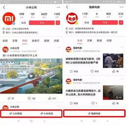 头条小程序逃离公司攻略