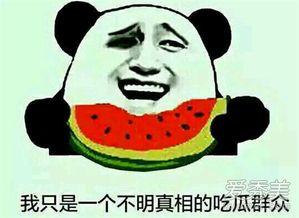 网络中的吃瓜是什么意思