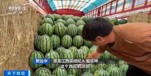 718娱乐吃瓜入口,一场吃瓜盛宴背后的真相与内幕