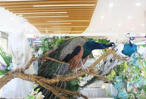 郑州吃瓜娱乐官网