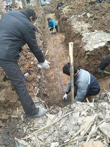 娱乐吃瓜酱扎钢筋