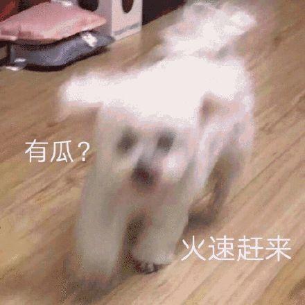 吃瓜娱乐图片搞笑头像