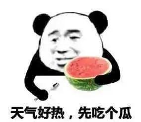 回复吃瓜表情的注意事项,注意事项与礼仪解析