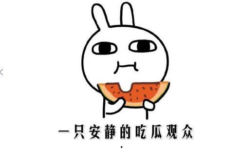 回复吃瓜表情的注意事项,注意事项与礼仪解析