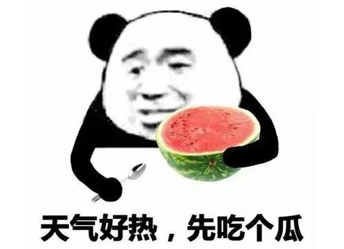 娱乐圈吃瓜表情图卡通,趣味解读明星幕后故事