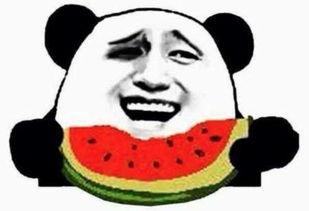 吃瓜群众视频